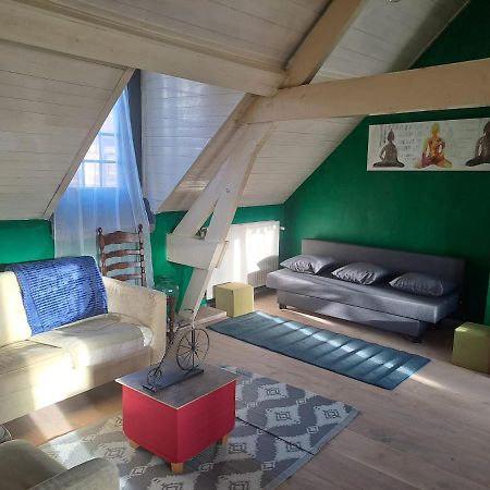 Apartament The Green Retromodern Duplex Antwerpia Zewnętrze zdjęcie